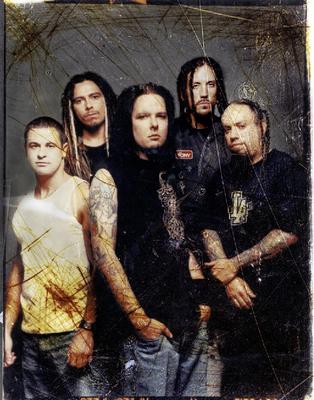 le group korn